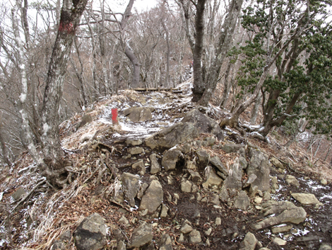20160204hike (125)